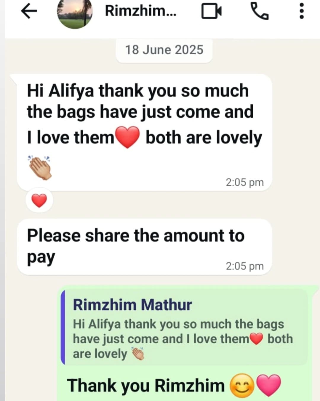 Original customer message saying both Brushup bags are lovely